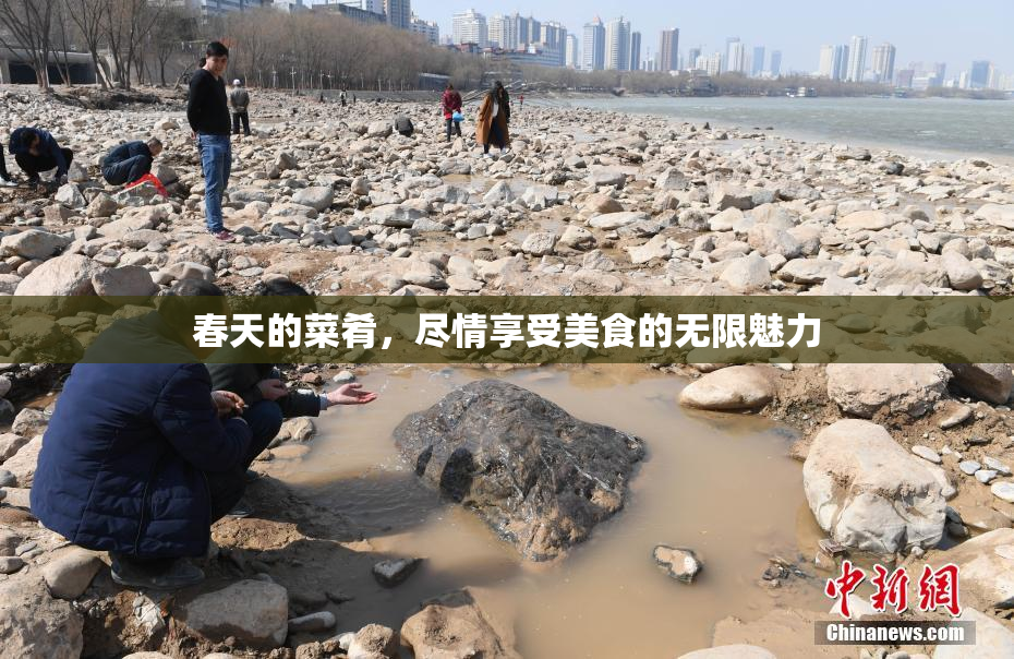 春天的菜肴，尽情享受美食的无限魅力