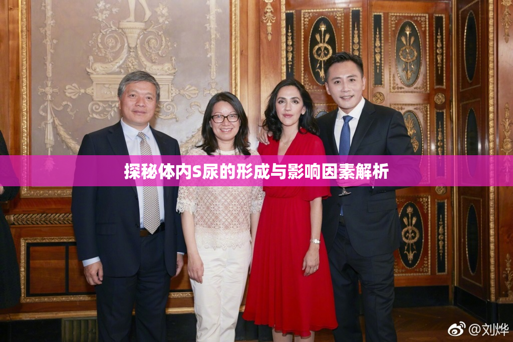 探秘体内S尿的形成与影响因素解析