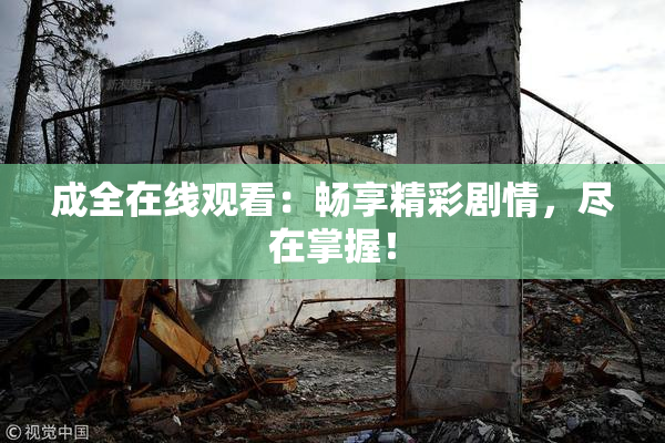 成全在线观看：畅享精彩剧情，尽在掌握！