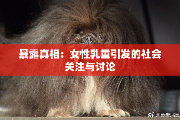 暴露真相：女性乳重引发的社会关注与讨论