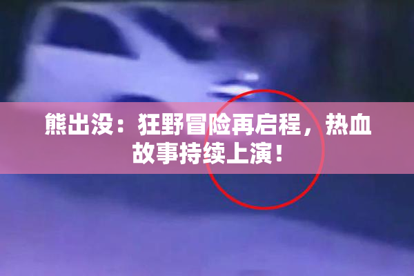 熊出没：狂野冒险再启程，热血故事持续上演！