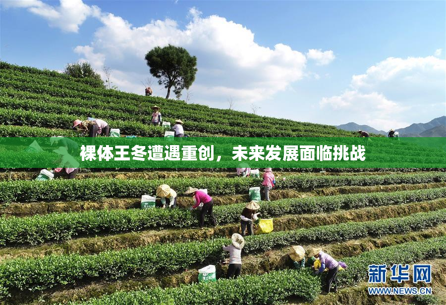 裸体王冬遭遇重创，未来发展面临挑战