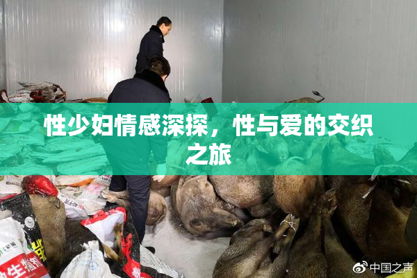 性少妇情感深探，性与爱的交织之旅