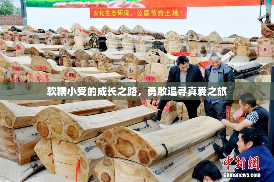 软糯小受的成长之路，勇敢追寻真爱之旅