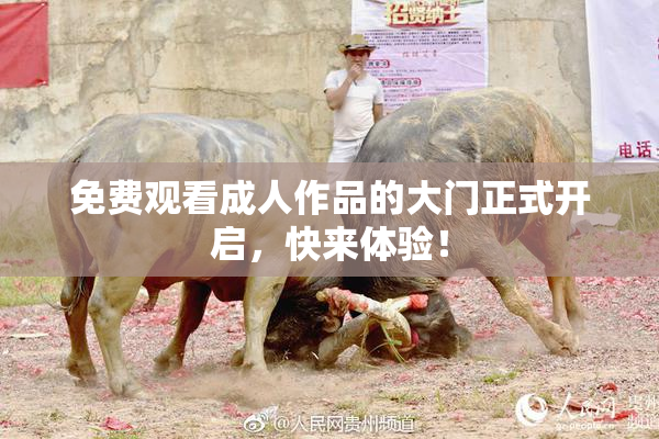 免费观看成人作品的大门正式开启，快来体验！