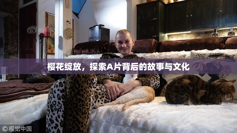 樱花绽放，探索A片背后的故事与文化