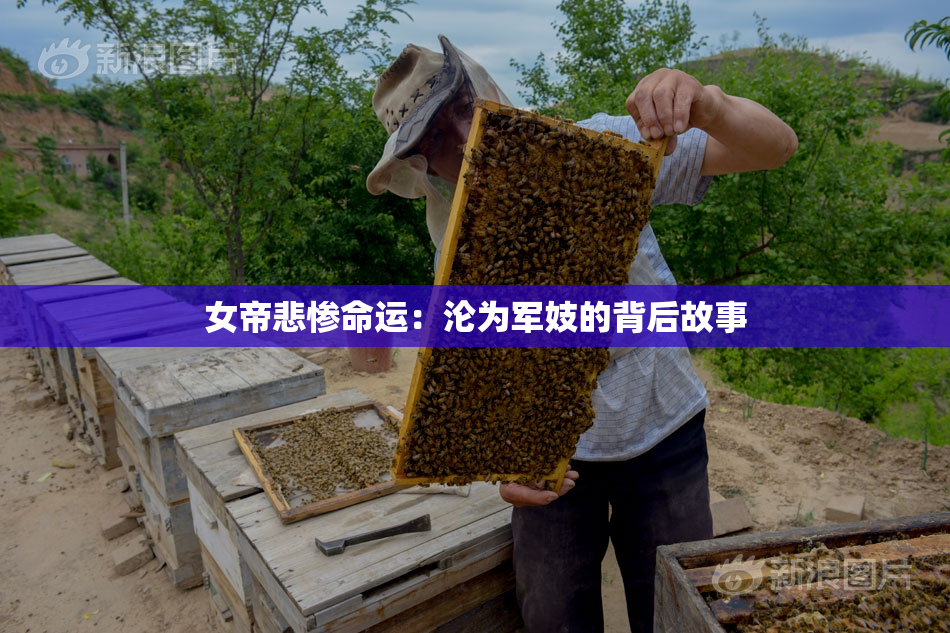 女帝悲惨命运：沦为军妓的背后故事