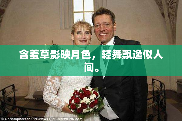 含羞草影映月色，轻舞飘逸似人间。