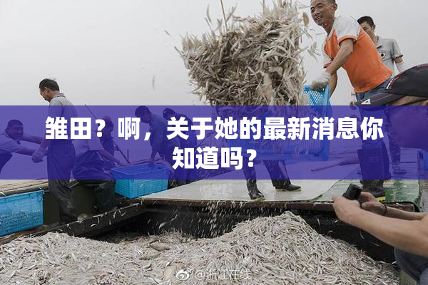 雏田？啊，关于她的最新消息你知道吗？