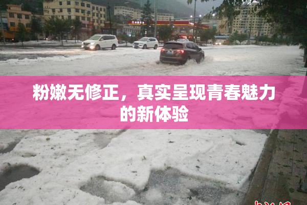 粉嫩无修正，真实呈现青春魅力的新体验