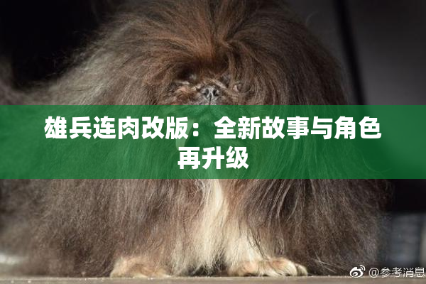 雄兵连肉改版：全新故事与角色再升级