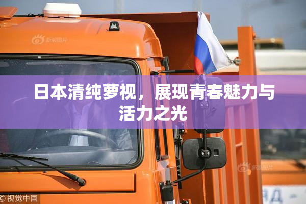 日本清纯萝视，展现青春魅力与活力之光