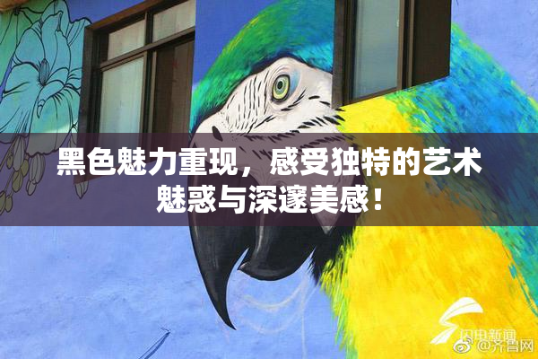 黑色魅力重现，感受独特的艺术魅惑与深邃美感！