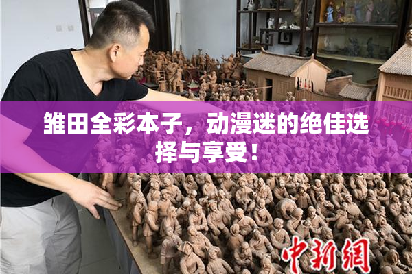 雏田全彩本子，动漫迷的绝佳选择与享受！