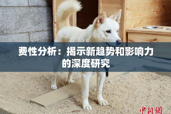 费性分析：揭示新趋势和影响力的深度研究