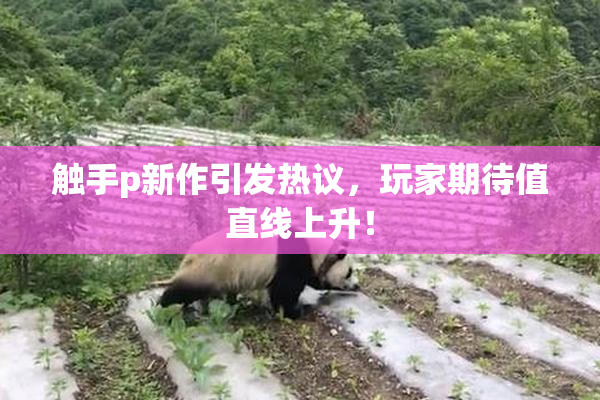 触手p新作引发热议，玩家期待值直线上升！