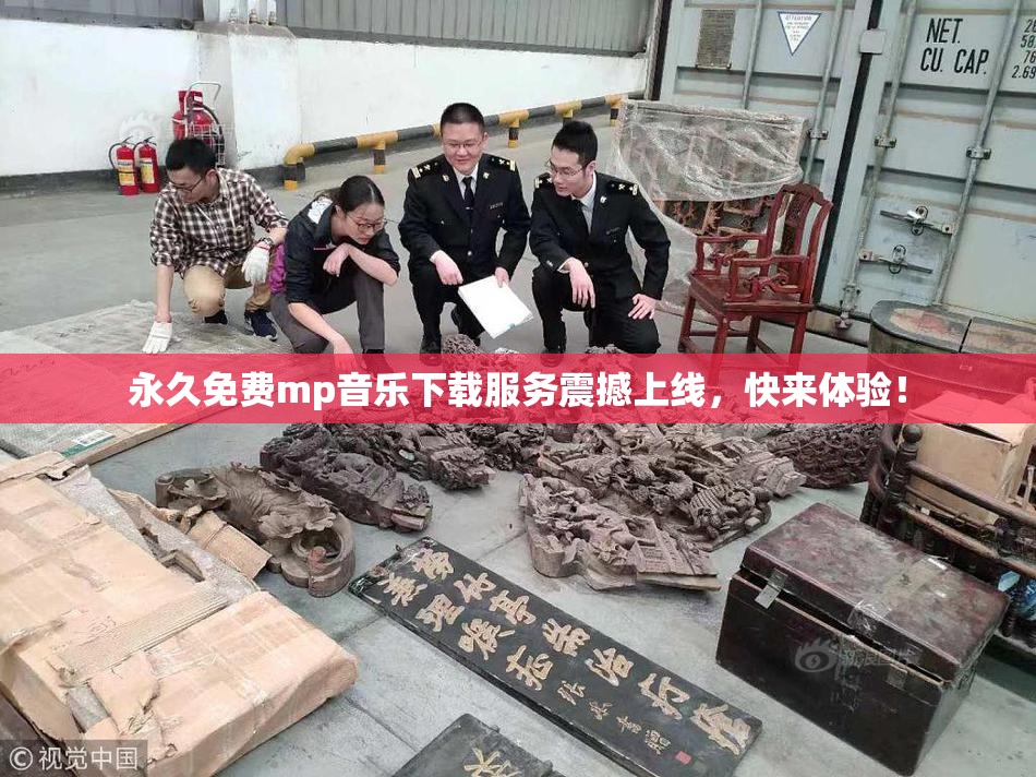 永久免费mp音乐下载服务震撼上线，快来体验！