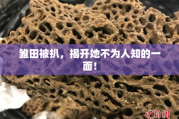雏田被扒，揭开她不为人知的一面！