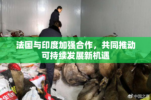 法国与印度加强合作，共同推动可持续发展新机遇