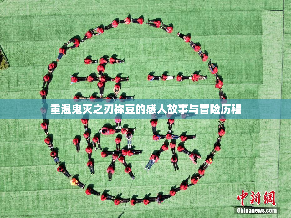 重温鬼灭之刃祢豆的感人故事与冒险历程