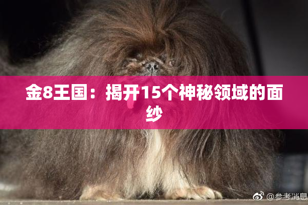 金8王国：揭开15个神秘领域的面纱