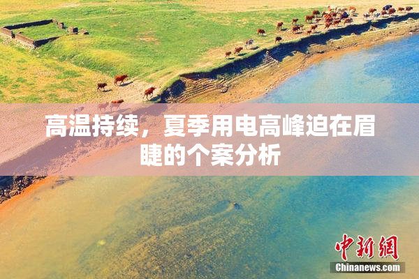 高温持续，夏季用电高峰迫在眉睫的个案分析