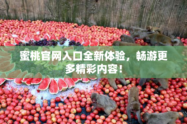 蜜桃官网入口全新体验，畅游更多精彩内容！