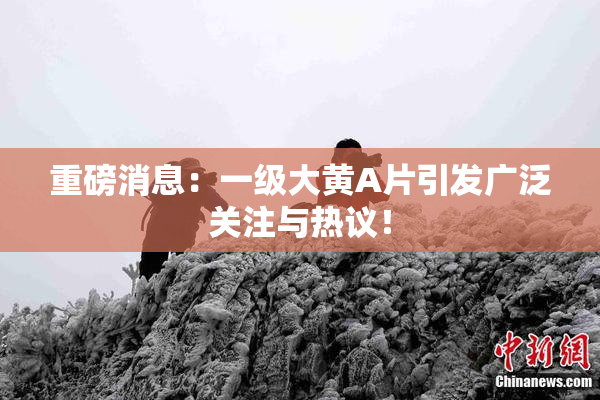 重磅消息：一级大黄A片引发广泛关注与热议！