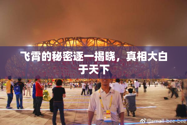 飞霄的秘密逐一揭晓，真相大白于天下