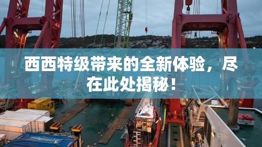 西西特级带来的全新体验，尽在此处揭秘！