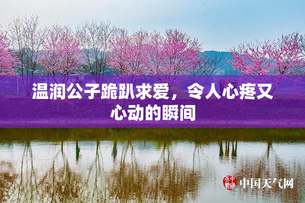 温润公子跪趴求爱，令人心疼又心动的瞬间