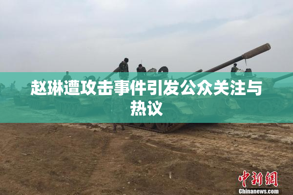 赵琳遭攻击事件引发公众关注与热议