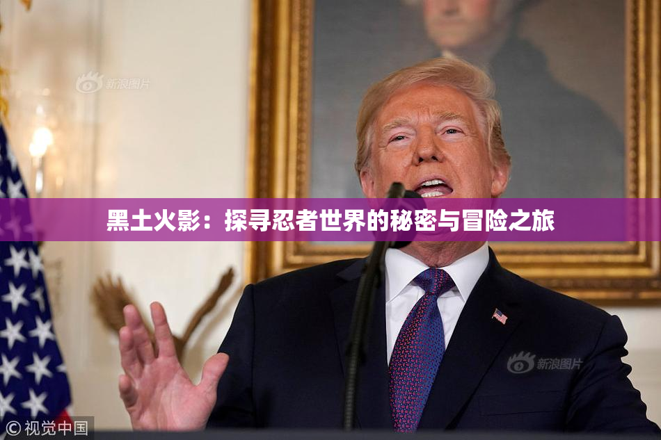 黑土火影：探寻忍者世界的秘密与冒险之旅