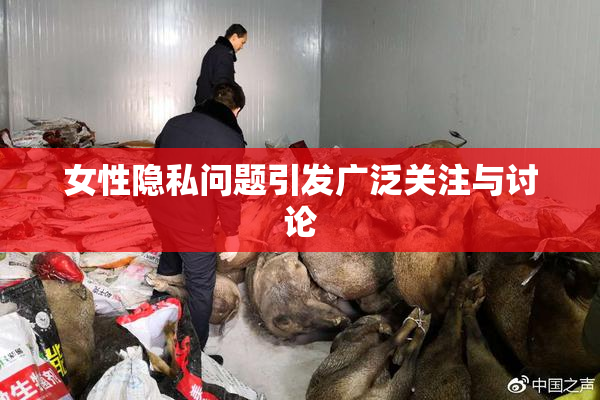 女性隐私问题引发广泛关注与讨论