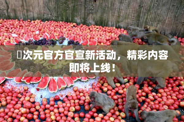 囧次元官方官宣新活动，精彩内容即将上线！