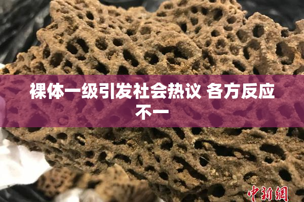 裸体一级引发社会热议 各方反应不一