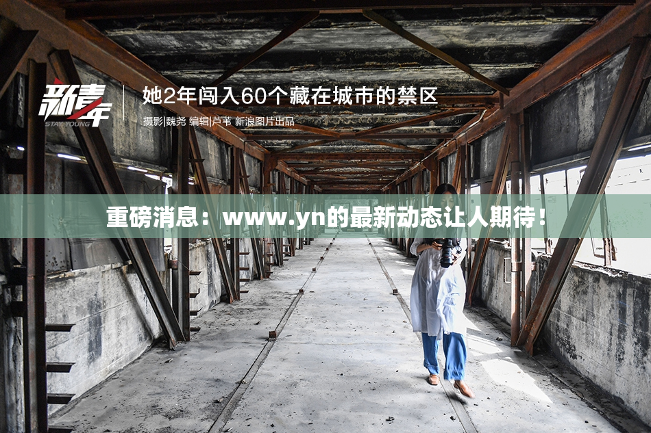 重磅消息：www.yn的最新动态让人期待！
