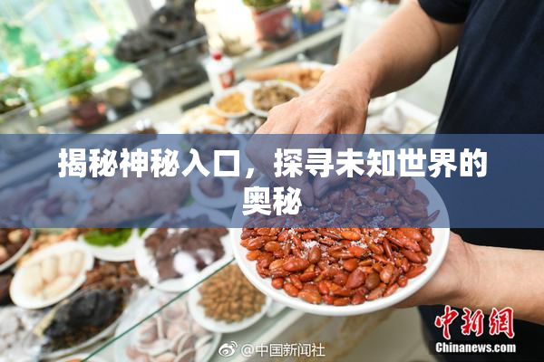 揭秘神秘入口，探寻未知世界的奥秘