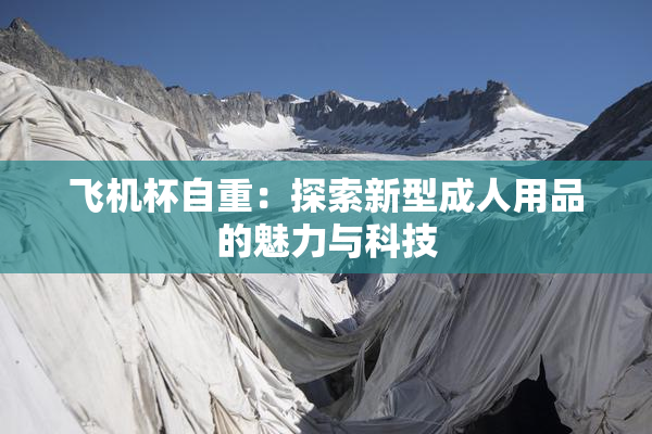 飞机杯自重：探索新型成人用品的魅力与科技