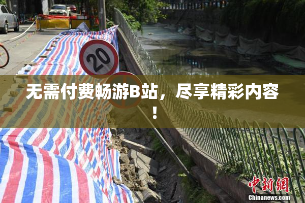 无需付费畅游B站，尽享精彩内容！
