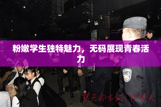 粉嫩学生独特魅力，无码展现青春活力