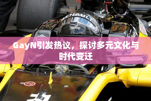 GayN引发热议，探讨多元文化与时代变迁