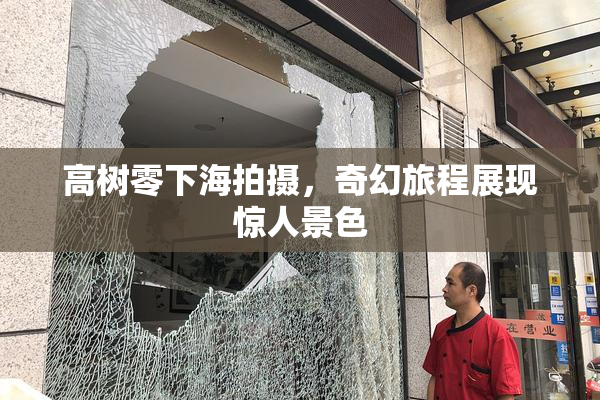 高树零下海拍摄，奇幻旅程展现惊人景色