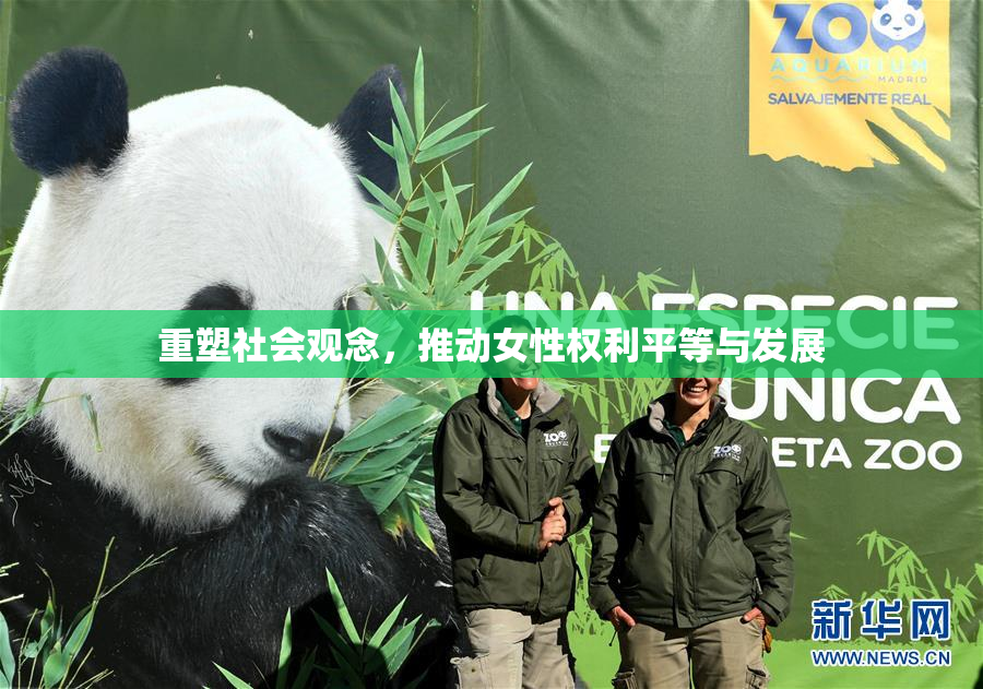 重塑社会观念，推动女性权利平等与发展