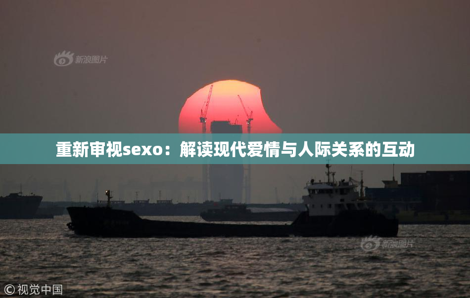 重新审视sexo：解读现代爱情与人际关系的互动