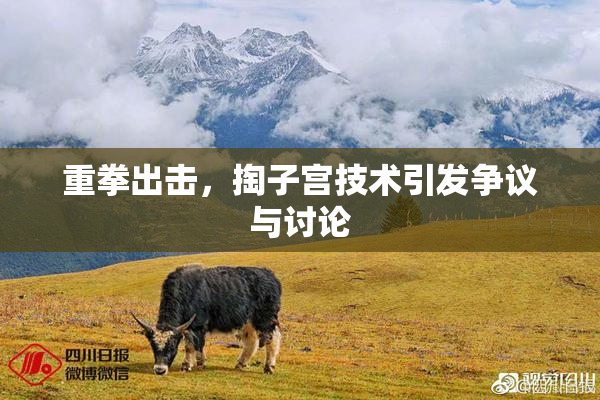 重拳出击，掏子宫技术引发争议与讨论
