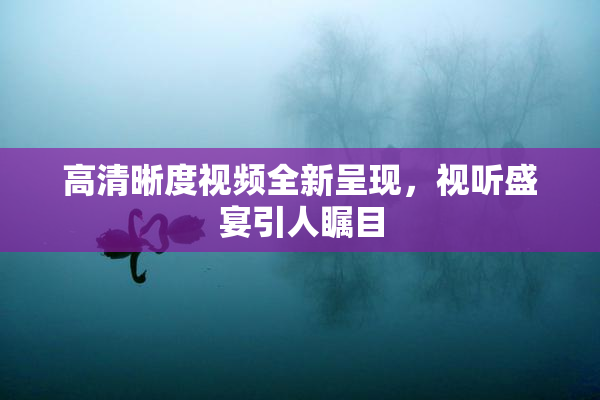 高清晰度视频全新呈现，视听盛宴引人瞩目