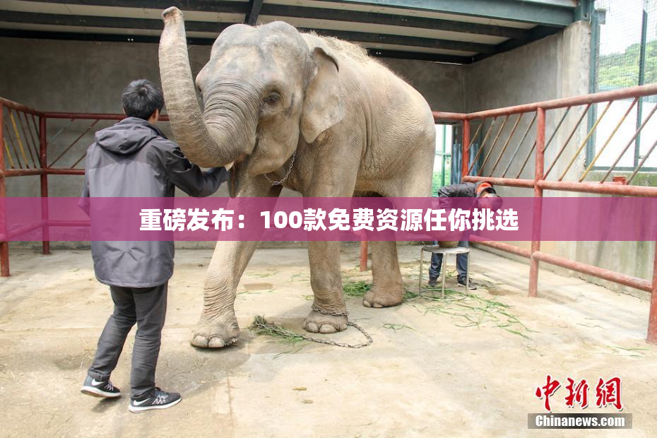 重磅发布：100款免费资源任你挑选