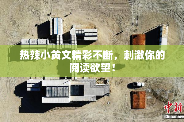 热辣小黄文精彩不断，刺激你的阅读欲望！