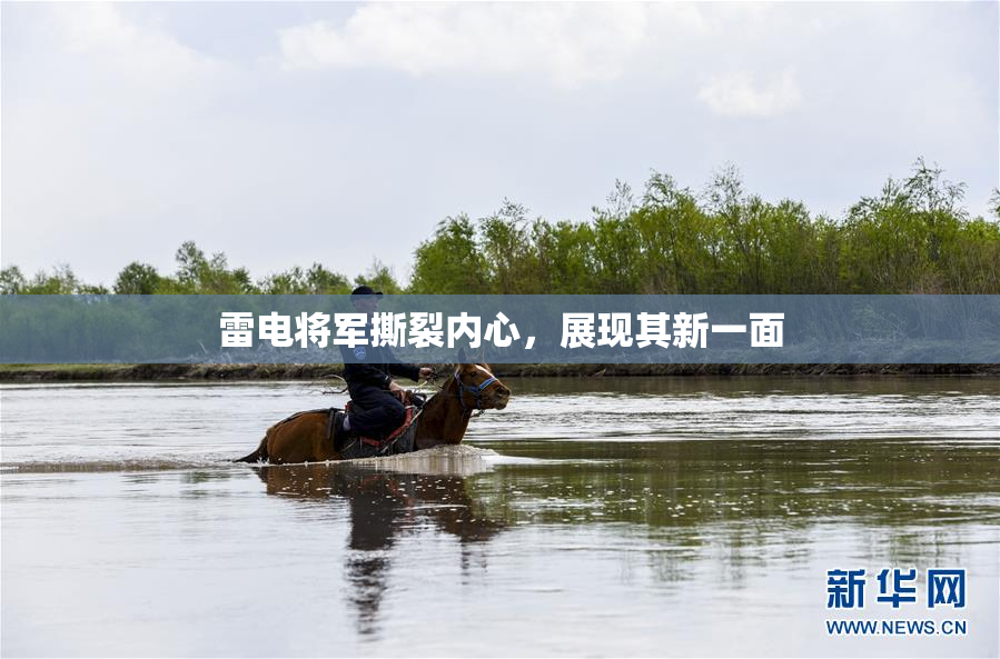 雷电将军撕裂内心，展现其新一面